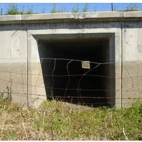 thumbnail for publication: Conservation Subdivision: Design Phase—Wildlife-Friendly Transportation Network